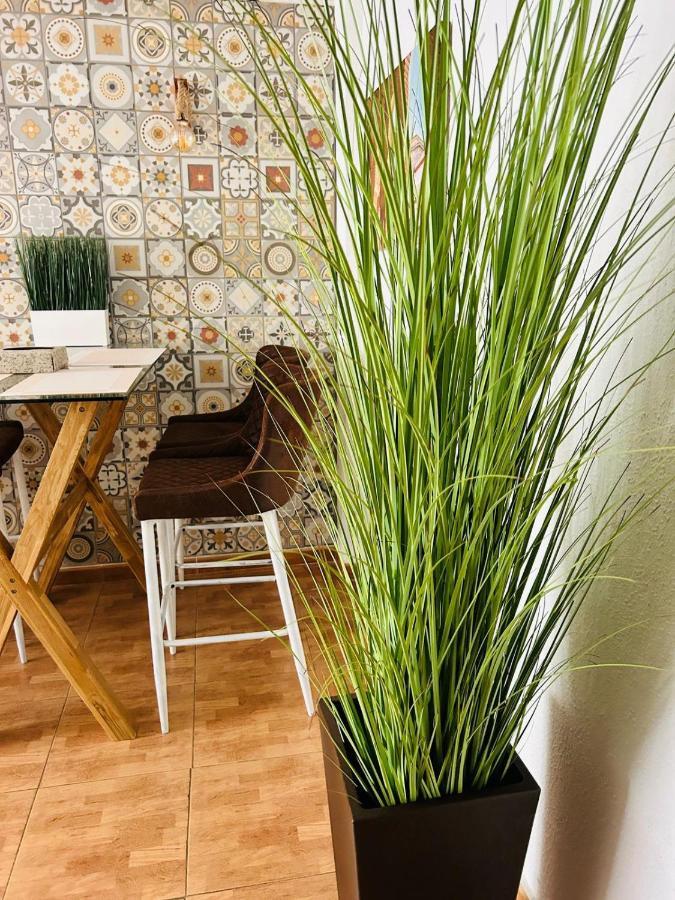 Nice Boutique Flat With Terrace 丰希罗拉 外观 照片